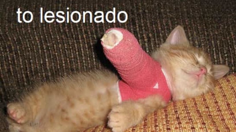 ‼️ LIMPA NA TDN!

Comente qualquer coisinha aqui caso deseje continuar na base 💥.