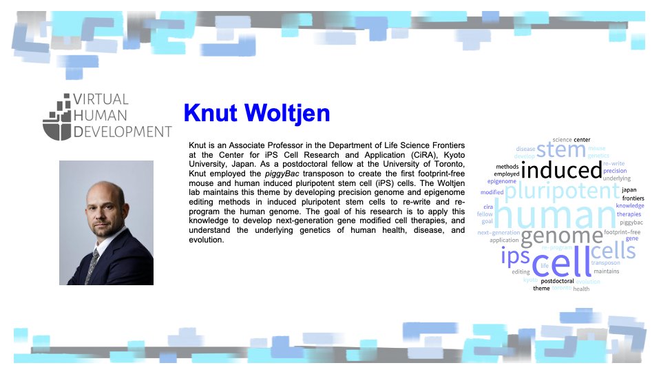 Virtual Human Development tweet media