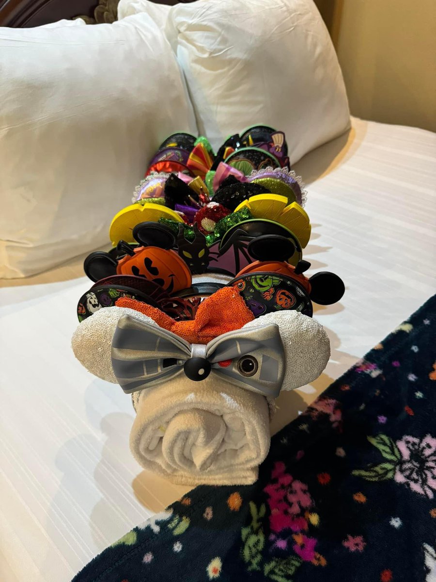 Streaming The Magic tweet media