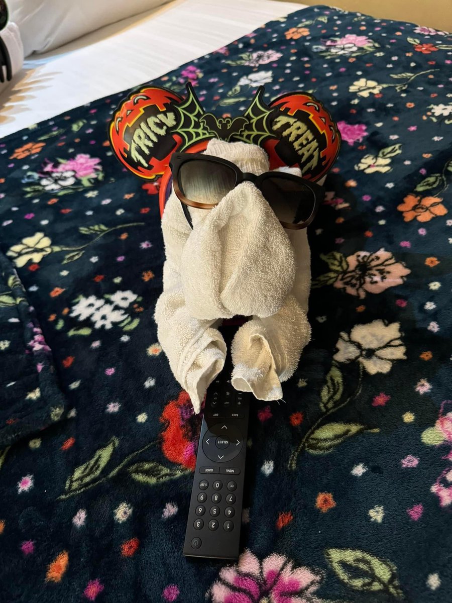 Mousekeeping going above &amp; beyond as usual #castcompliment #DisneyResorts #portorleansriverside 📸 Kelli Keller