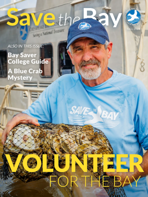 chesapeakebay's tweet photo. Our fall 2024 #SavetheBay magazine is out! In this issue, we're talking blue crabs, what's happening in the Bay states and D.C., and celebrating our incredible volunteers. Check it out: https://t.co/CzzflOQjSG https://t.co/HqjQC7zgt9