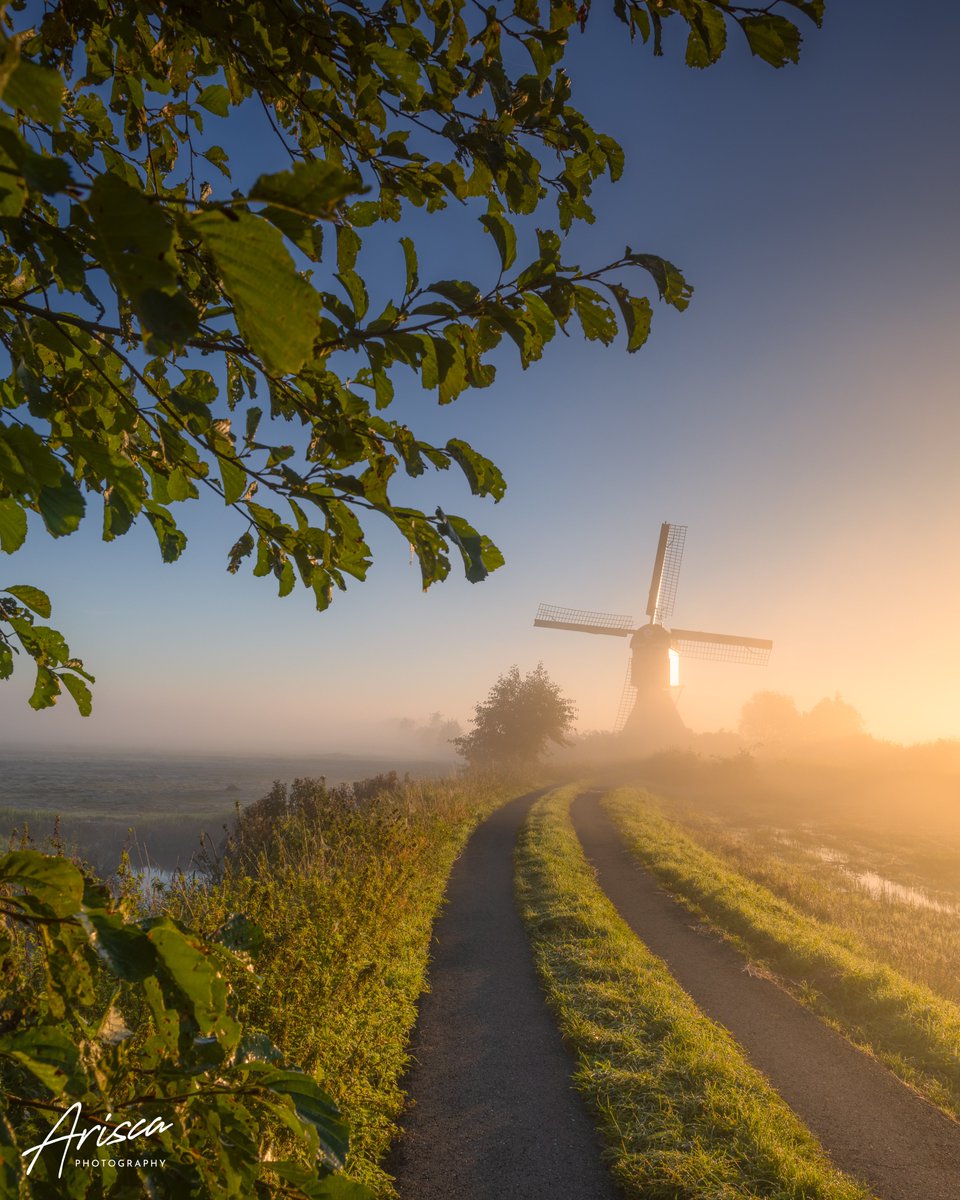 Arisca van ‘t Hof tweet media