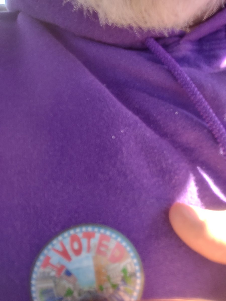 Interesting observation: While waiting in line, those who looked like they supported TFG for the most part were scowling, frowning, and looked angry. Those who looked like they supported Harris were smiling, talking to strangers in line, and seem to be enjoying themselves.