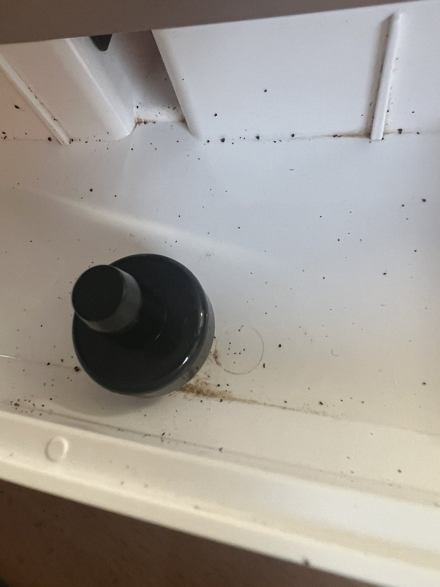 danibenitezcano's tweet photo. Señores de @CECOTECoficial  os mando a reparar una cafetera de 300 € que tiene menos de un mes, me teneis un mes entero sin cafetera, ¿y me la devolveis asi? Sucia y con una mancha que no se quita? No teneis vergüenza…. https://t.co/5t5l0iWxOw