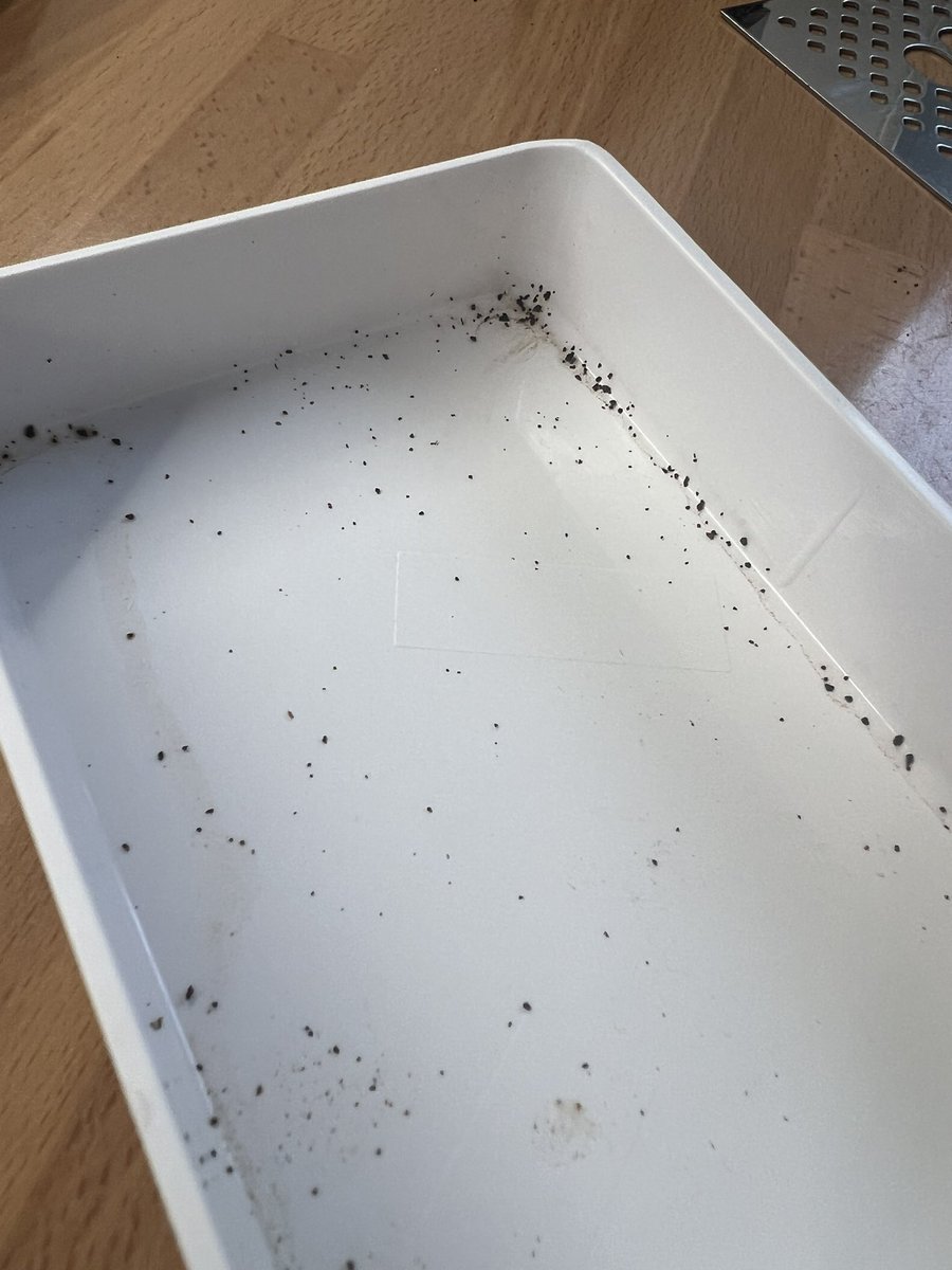 danibenitezcano's tweet photo. Señores de @CECOTECoficial  os mando a reparar una cafetera de 300 € que tiene menos de un mes, me teneis un mes entero sin cafetera, ¿y me la devolveis asi? Sucia y con una mancha que no se quita? No teneis vergüenza…. https://t.co/5t5l0iWxOw