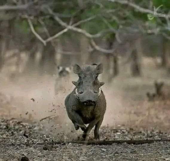 Ze Planmaster tweet media