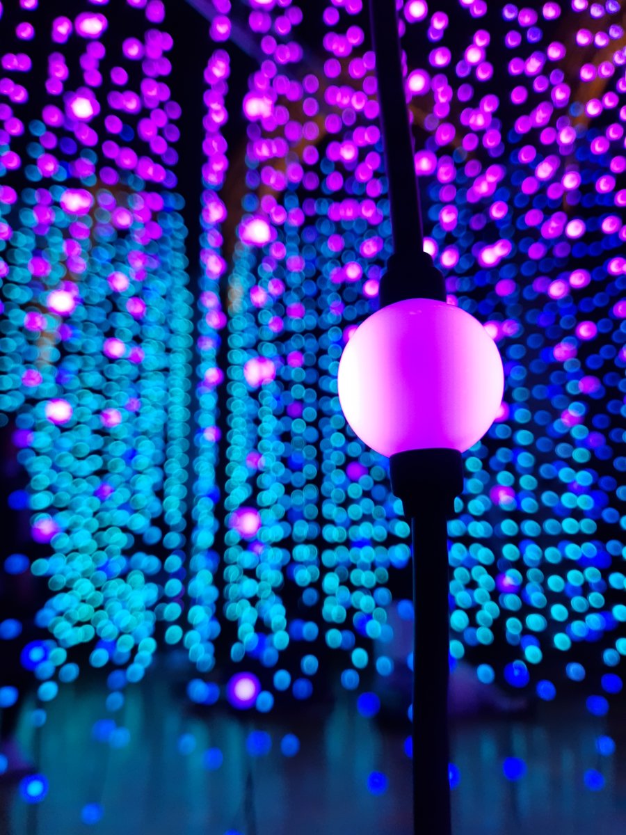 _ArtReach's tweet image. We're heading to @LightNightLeeds on 24 October!
Join us for an inspiring session with @SlungLow , diving into their incredible work in community engagement. An all expenses paid, creative day out for Leicester-based creatives, cultural workers/freelancers artreach.org.uk/inc