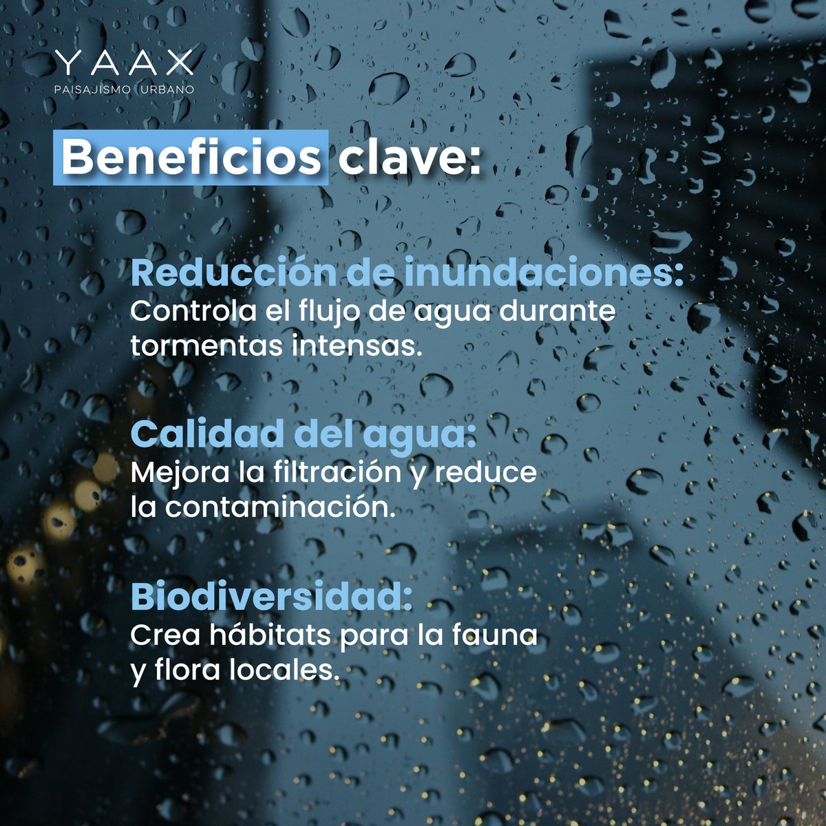 YaaxGroup's tweet photo. Hoy se conmemora el Día Internacional para la protección de la Naturaleza, una obligación universal que compete a cada individuo que habita en este planeta.

Descubre más de nuestro trabajo y cuéntanos si ya conocías alguna de estas soluciones ambientales. https://t.co/8RsPplxo1o