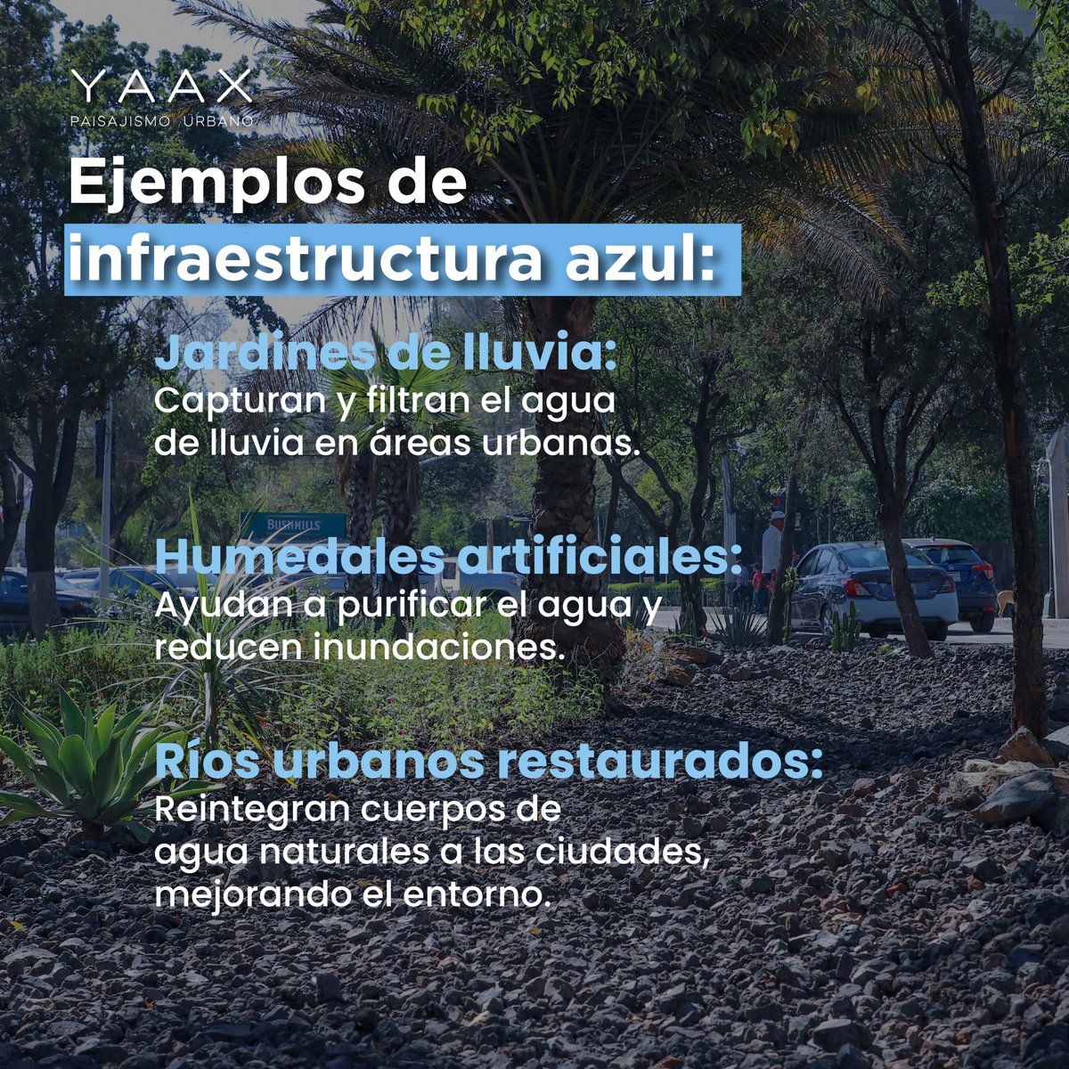 YaaxGroup's tweet photo. Hoy se conmemora el Día Internacional para la protección de la Naturaleza, una obligación universal que compete a cada individuo que habita en este planeta.

Descubre más de nuestro trabajo y cuéntanos si ya conocías alguna de estas soluciones ambientales. https://t.co/8RsPplxo1o