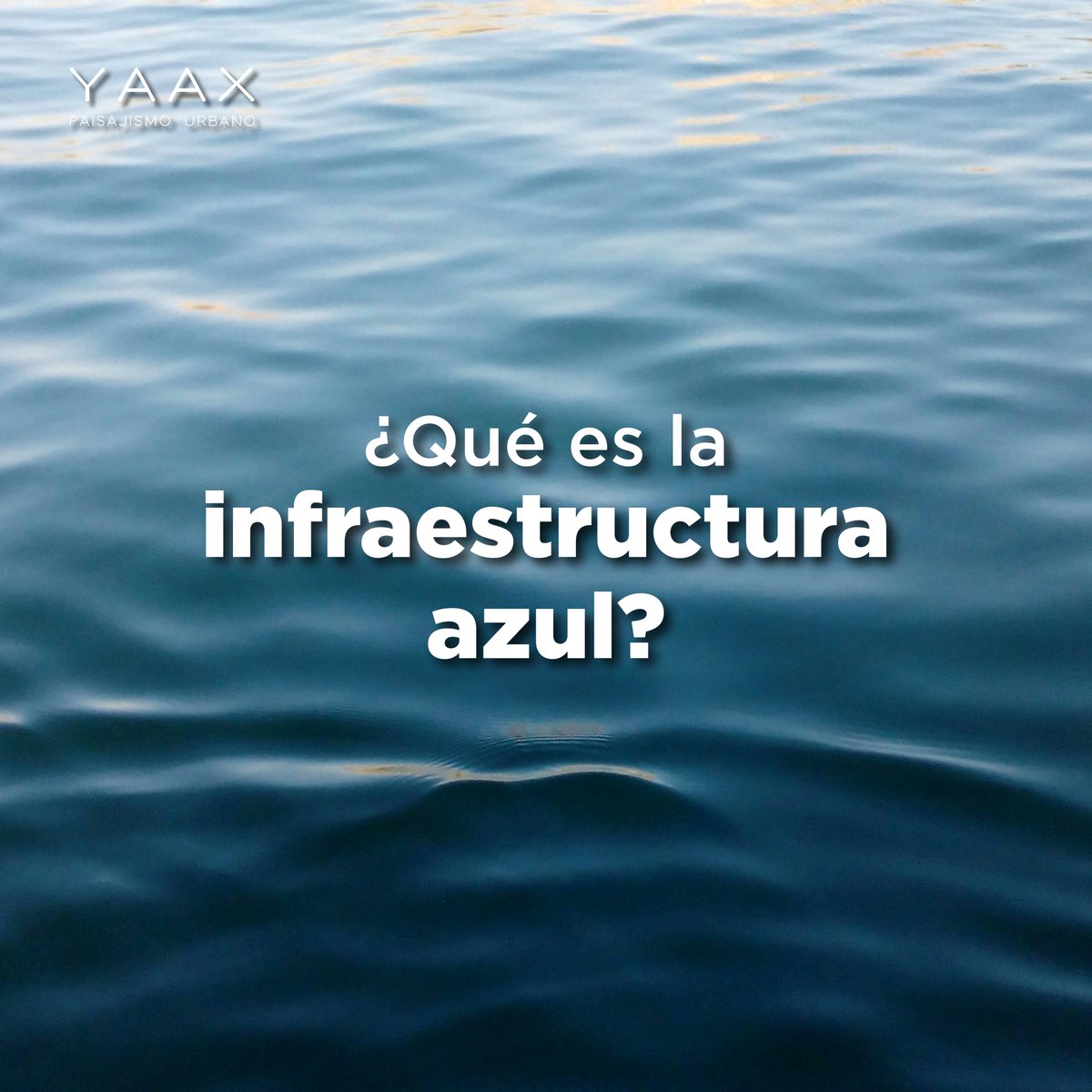 YaaxGroup's tweet photo. Hoy se conmemora el Día Internacional para la protección de la Naturaleza, una obligación universal que compete a cada individuo que habita en este planeta.

Descubre más de nuestro trabajo y cuéntanos si ya conocías alguna de estas soluciones ambientales. https://t.co/8RsPplxo1o