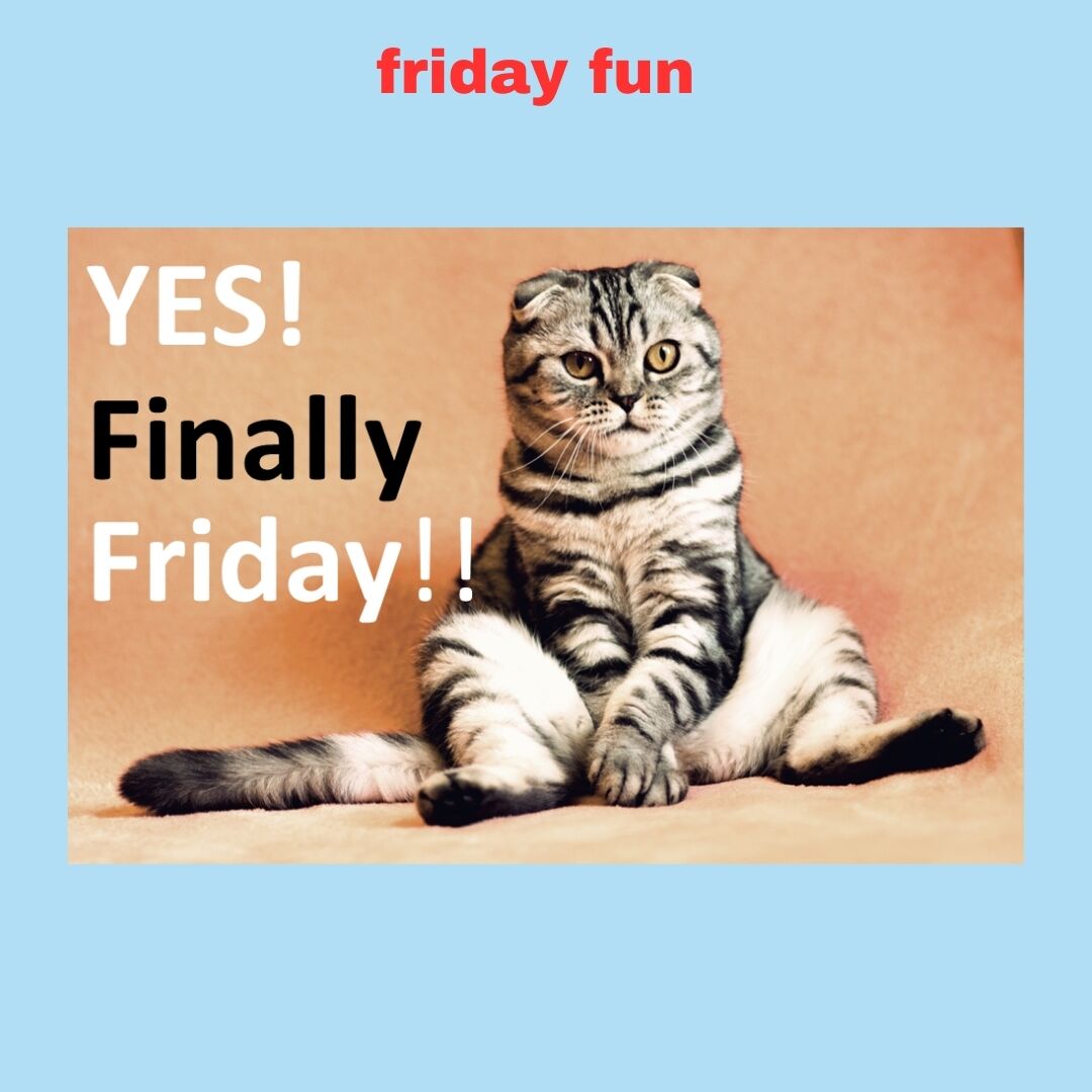 Friday Fun... is better with a cat 🤔 

Engagement Unlimited... where Engagement Meets Fun!
Call us to discuss your upcoming events! We'd love to help you with Team Building, Entertainment &amp; Presentations/Emcees/Workshops. ✅