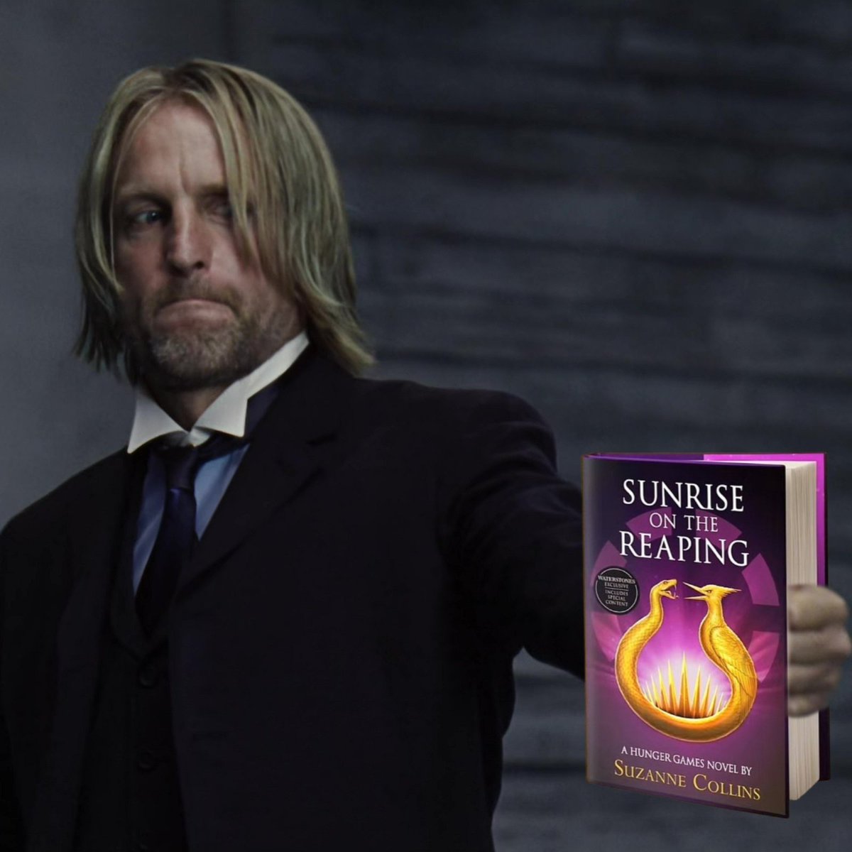 westsidesorry's tweet image. happy 5 months until we get sunrise on the reaping