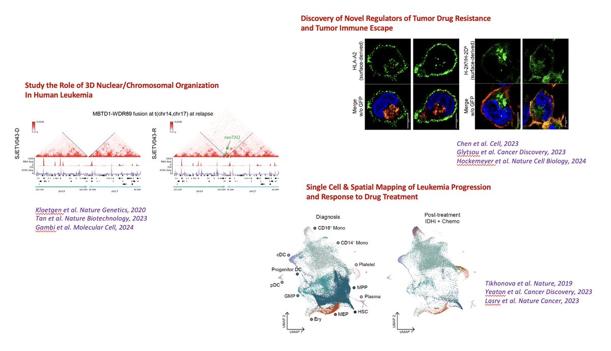 Iannis Aifantis (@iannisaifantis1) on Twitter photo The Aifantis and Tsirigos (<a href="/artsinyc/">Aristotelis Tsirigos</a>) Labs are hiring computational scientists as postdocs. If you’re passionate about epigenetics, chromatin organization, single cell analysis and/or integrating multi-omics data using machine learning, come and join us in New York City! The Aifantis and Tsirigos (<a href="/artsinyc/">Aristotelis Tsirigos</a>) Labs are hiring computational scientists as postdocs. If you’re passionate about epigenetics, chromatin organization, single cell analysis and/or integrating multi-omics data using machine learning, come and join us in New York City!