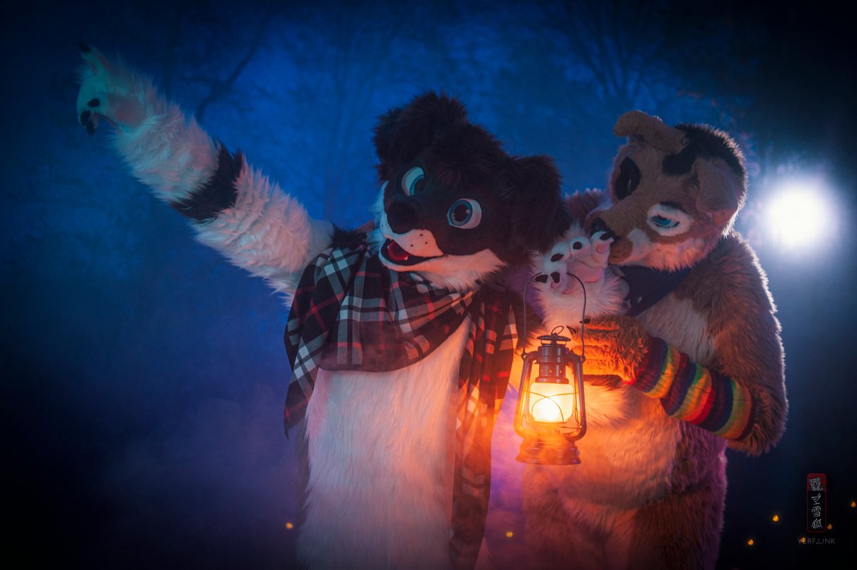 Rhys Shepherd tweet media