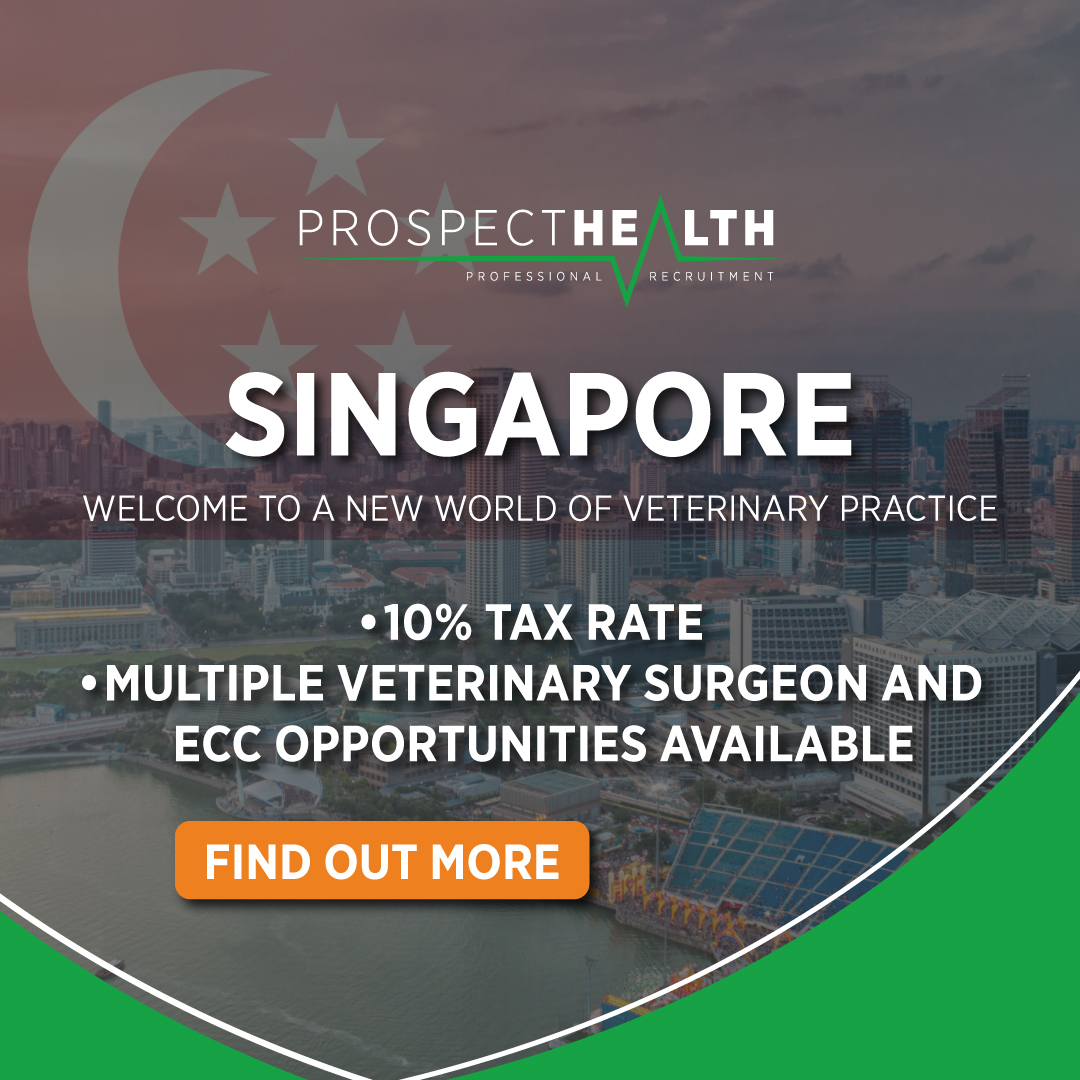 Prospect Health Veterinary tweet media