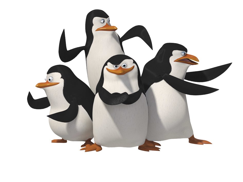 kevatog tweet media