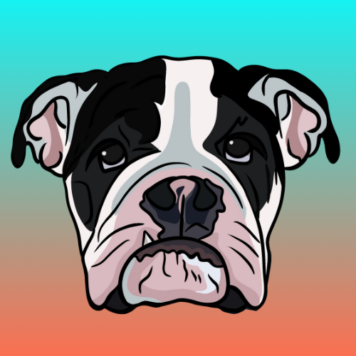 MoDogAPT's tweet photo. @Aptos $MODOG is here!

Happy anniversary!

$APT #aptos #aptosforever https://t.co/FQRAwWKVN6
