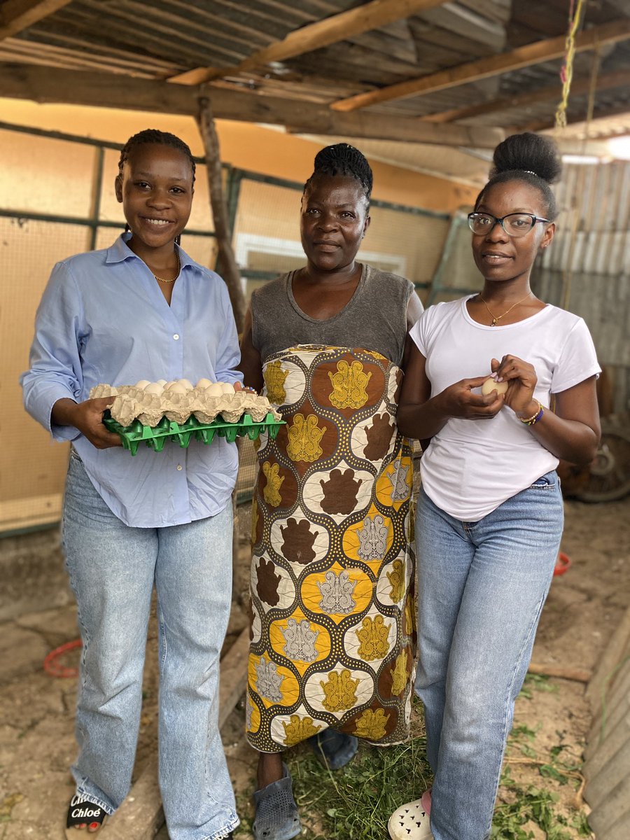 MsalamaRuc58690's tweet photo. I had the privilege of visiting one of my young entrepreneurs from the digital business training program, who is passionately engaged in free-range poultry farming and selling eggs. #goingbeyond @DigitalOppTrust @herinitiative https://t.co/FbOW2x4pAe