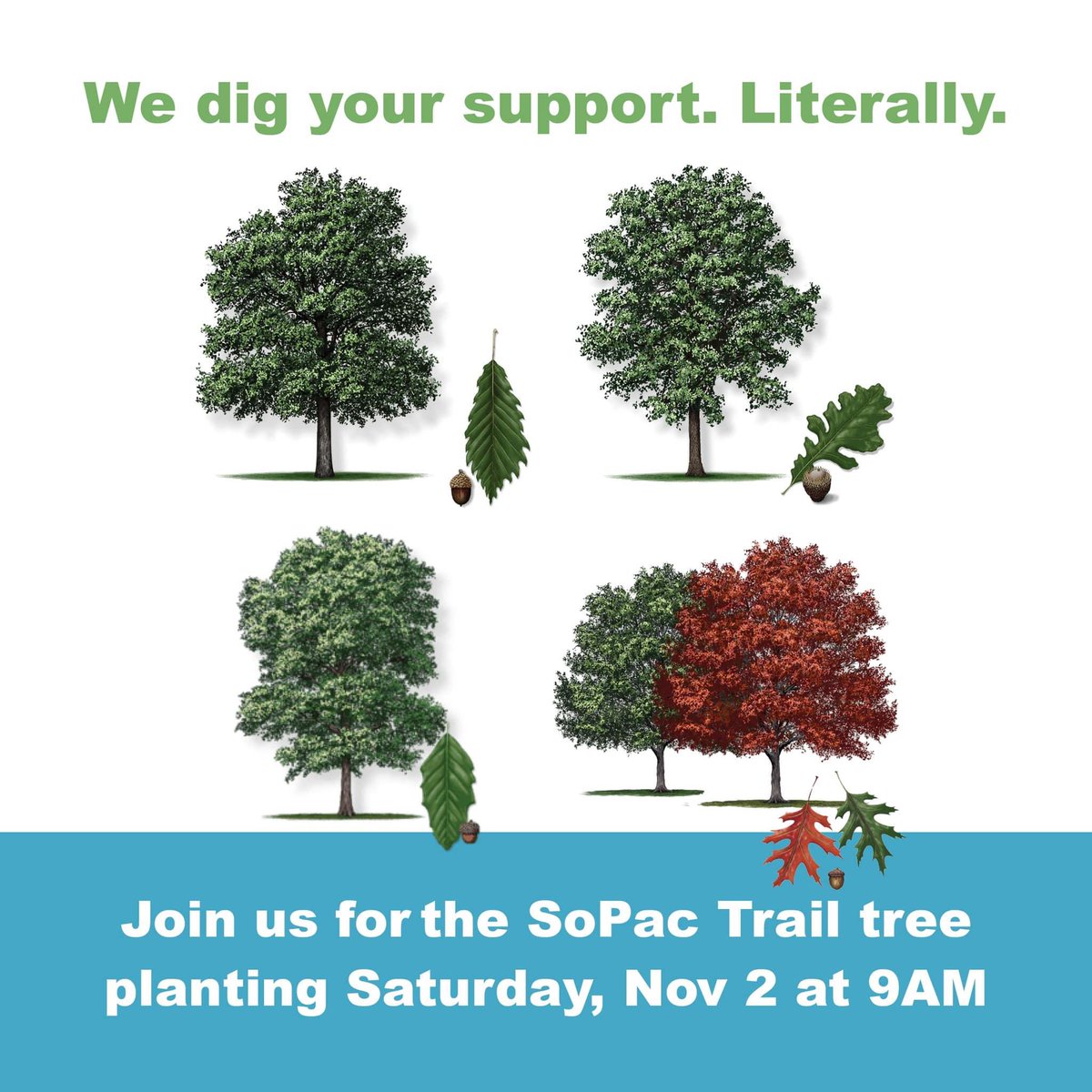 Dallas Trails Coalition tweet media