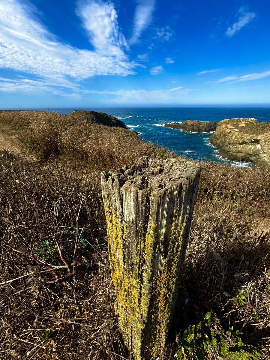 JQueryMac's tweet image. #FencepostFriday
Mendocino