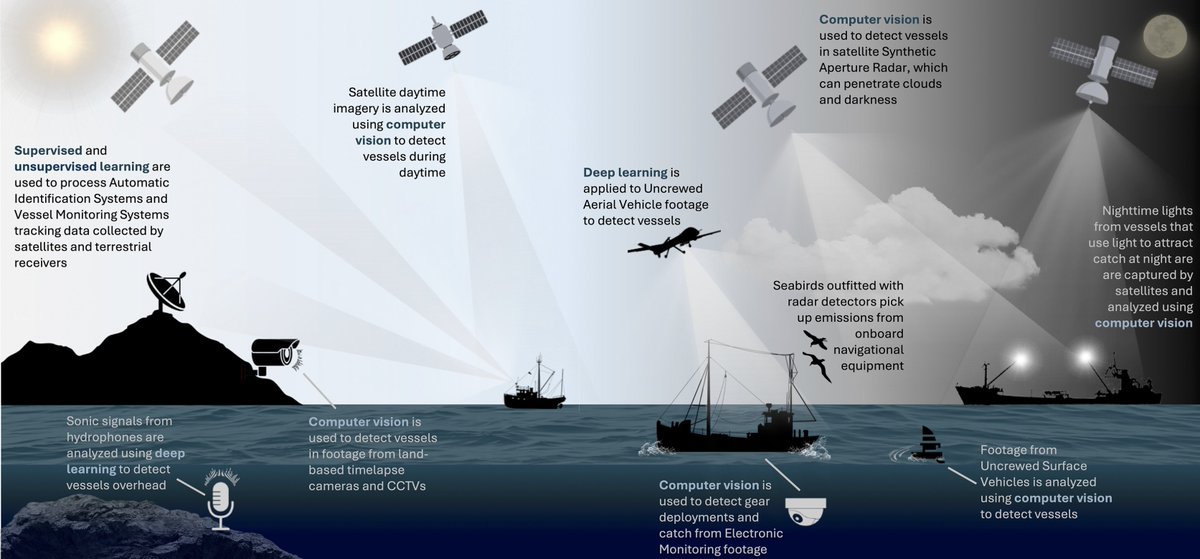 Heather Welch (@heather_m_welch) on Twitter photo New open access primer in <a href="/OneEarth_CP/">One Earth</a>: Harnessing AI to track and detect fishing vessels from space, shore, and the seafloor.
cell.com/one-earth/full… New open access primer in <a href="/OneEarth_CP/">One Earth</a>: Harnessing AI to track and detect fishing vessels from space, shore, and the seafloor.
cell.com/one-earth/full…