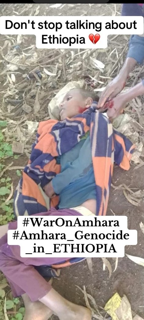 RasAsteraw's tweet photo. It's heartbreaking to see international aid being misused for weapons in Ethiopia. 
#AmharaGenocide
#WarOnAmhara
#AbiyIsAcriminal
#AmharaStruggle

@usembassyaddis
 @UN @HRW @Amnesty @EUCommission @StateDept https://t.co/XCBdpiOJdp