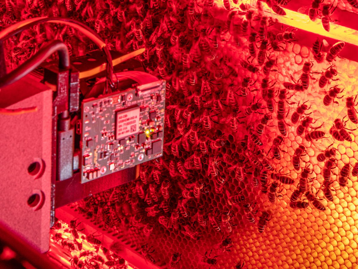 Science Robotics tweet media