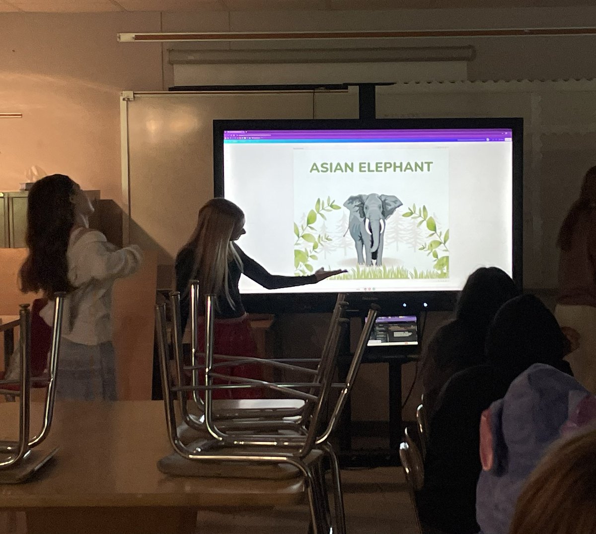 Ms. Eller tweet media