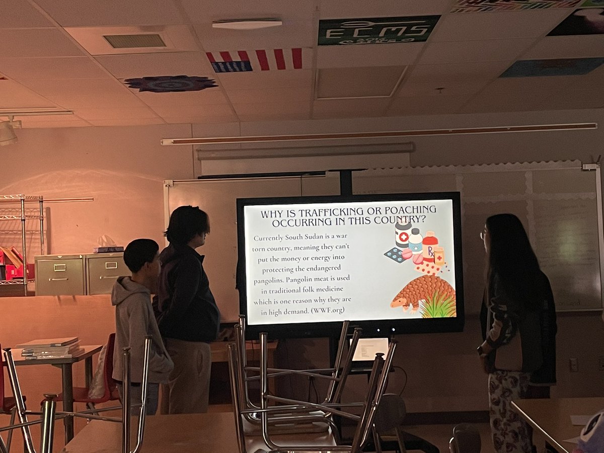 Ms. Eller (@ms_eller) on Twitter photo Students presenting their research on poaching and trafficking endangered animals! Next step, creating their animal!
<a href="/eastcarymiddle/">East Cary Magnet Middle School</a> Students presenting their research on poaching and trafficking endangered animals! Next step, creating their animal!
<a href="/eastcarymiddle/">East Cary Magnet Middle School</a>
