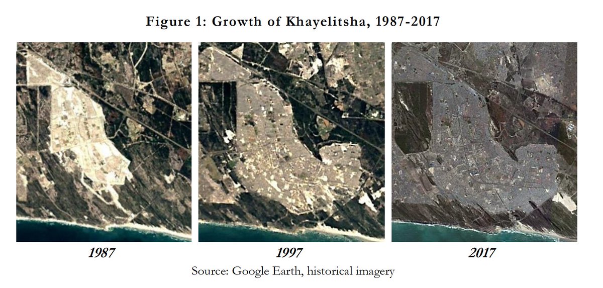 Rocco Zizzamia tweet media