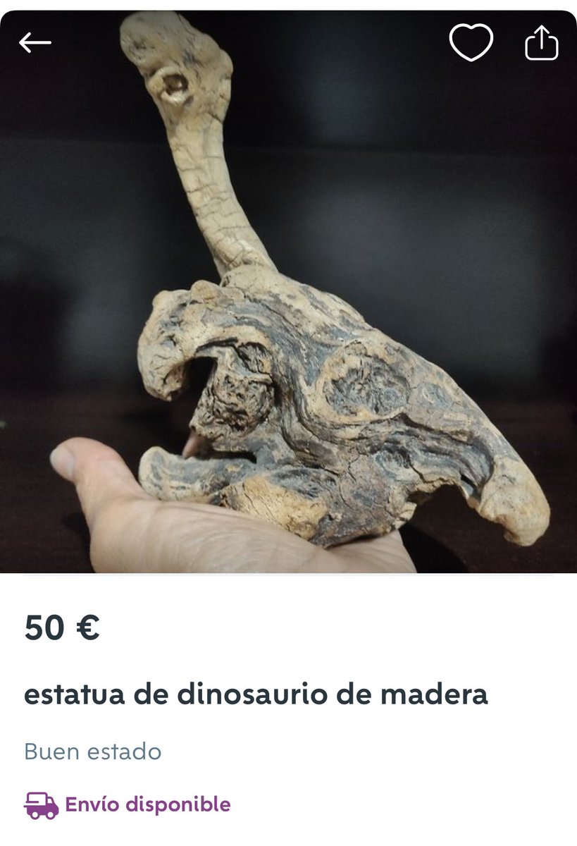 Daniel García 🦖🦕 tweet media
