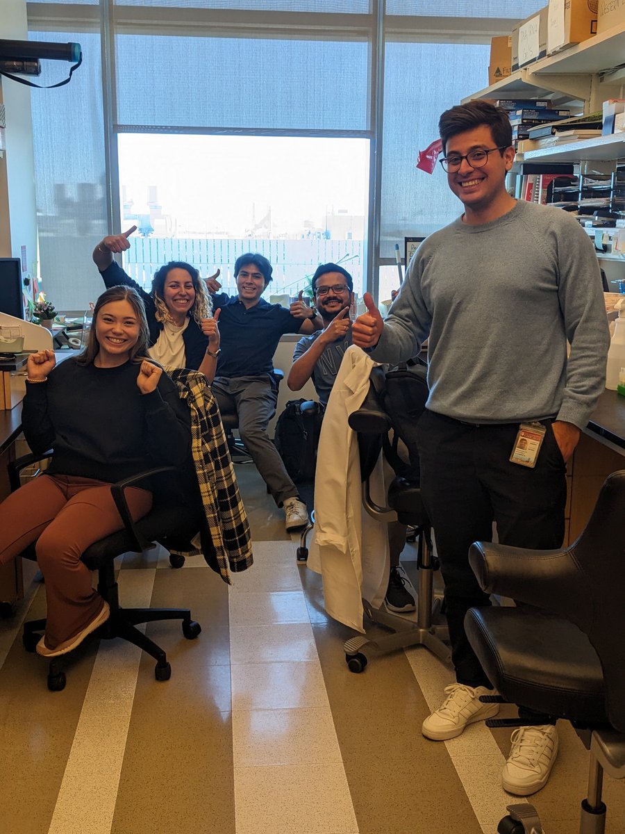 AdaWeinstock tweet media