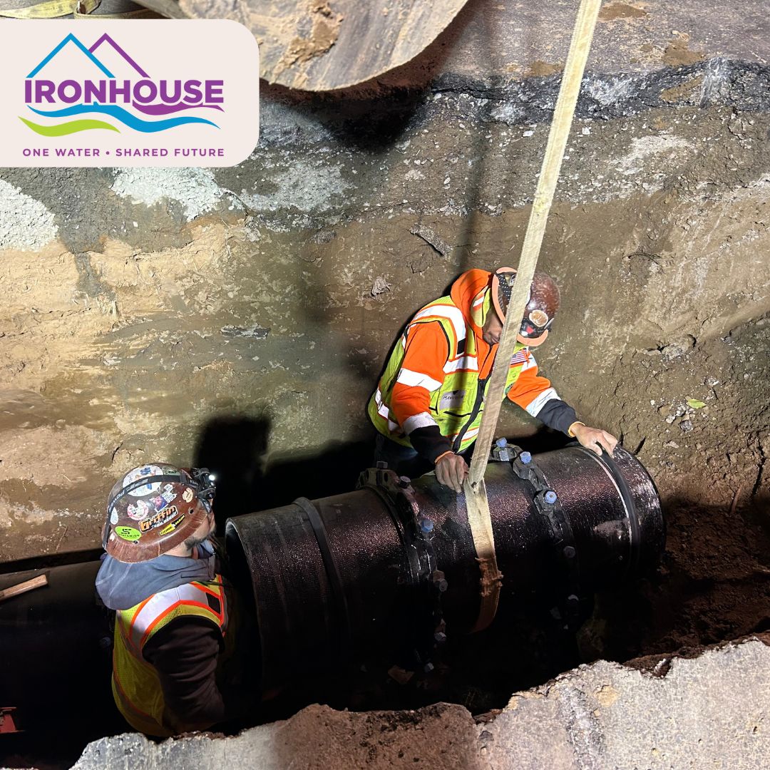 Ironhouse San Dist tweet media