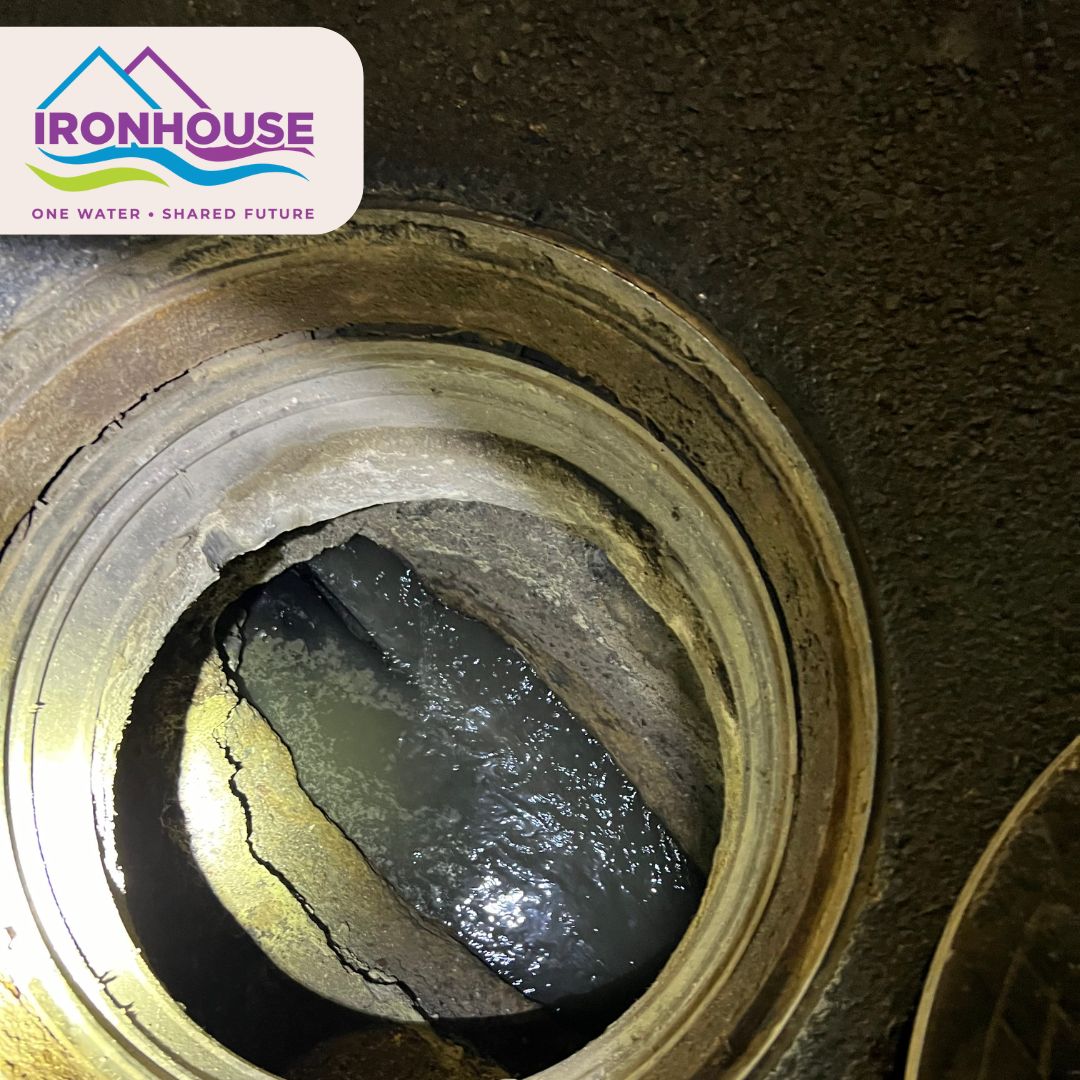 Ironhouse San Dist tweet media