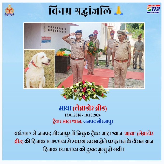Uppolice's tweet photo. .@mirzapurpolice में तैनात ट्रैकर मादा श्वान 'माया' (लेब्राडोर ब्रीड) को राजकीय सम्मान के साथ भावभीनी विदाई दी गई।  

#PawsInPeace 
#PawsAndHonor 
#K9 https://t.co/7XXnMicmDi