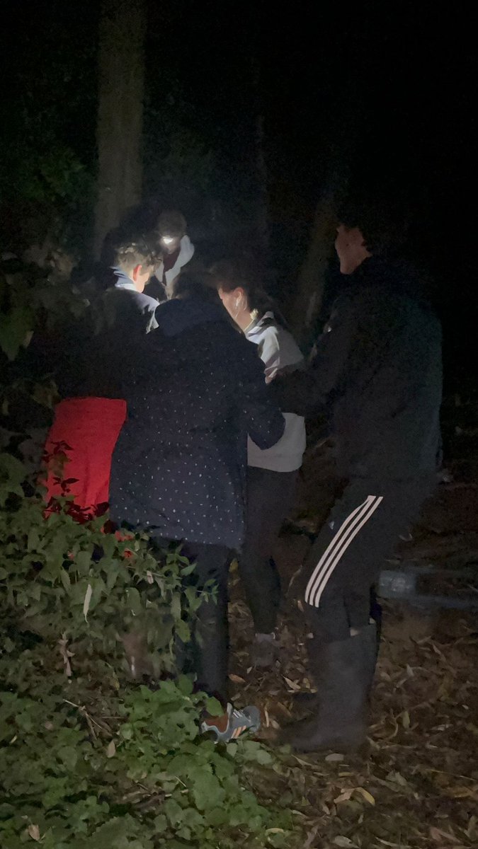 Shipton ESU tweet media