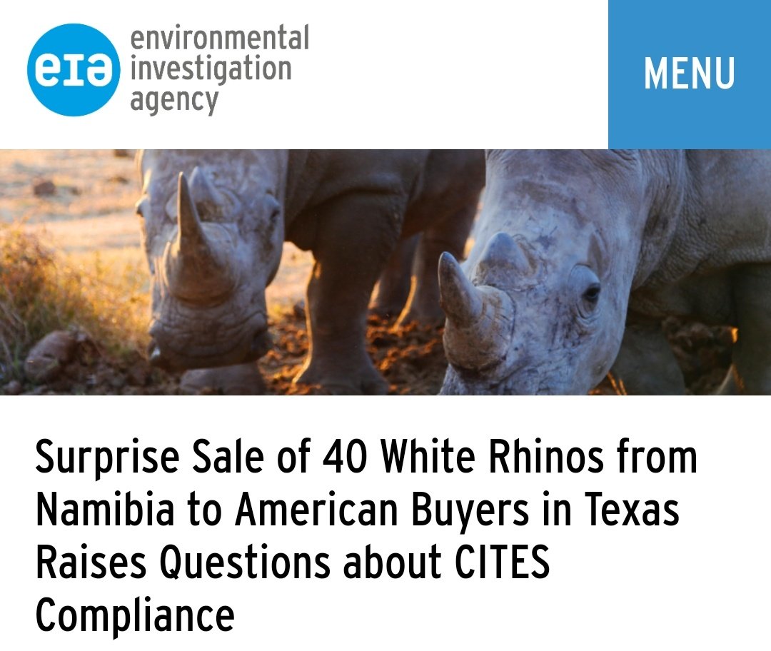 CitysFElephants's tweet photo. SURPRISE SALE OF 40 WHITE RHINOS FROM NAMIBIA TO AMERICAN BUYERS IN TEXAS RAISES QUESTIONS ABOUT CITES COMPLIANCE
By Taylor Tench, Wildlife Policy Analyst
#Rhinos @CITES #CITES
#MEFT @MinistryofEnvi2
#NamibiaDontSellYourRhinos
#NamibiaSaveYourHeritage
👓
https://t.co/6BnUJ8KJGC https://t.co/DbqAX84i0Q