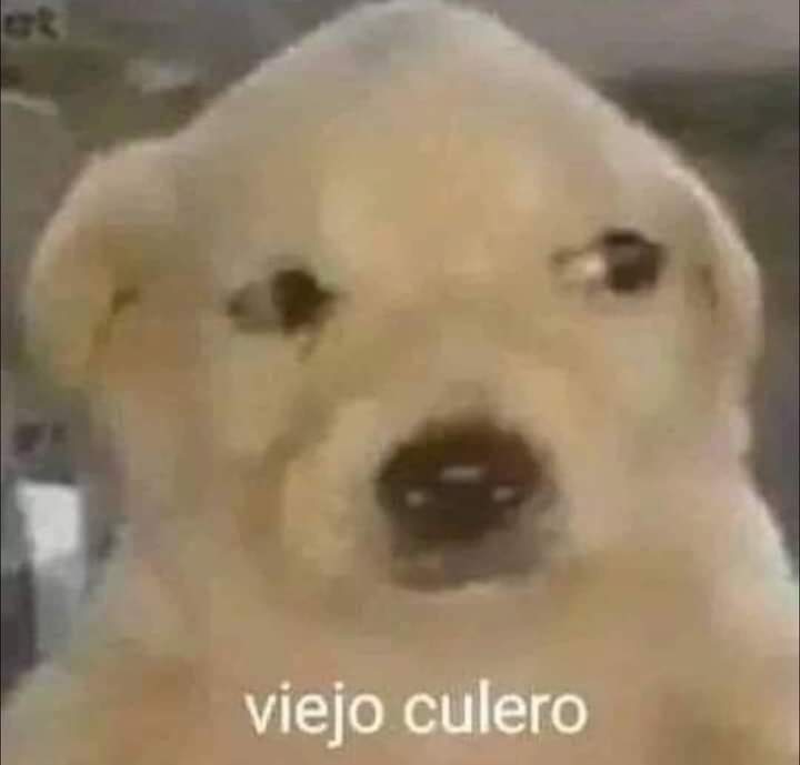 OcaZuZ's tweet photo. @kilodecilantro 🥶🥶🥶 https://t.co/FqBAGyx3PG