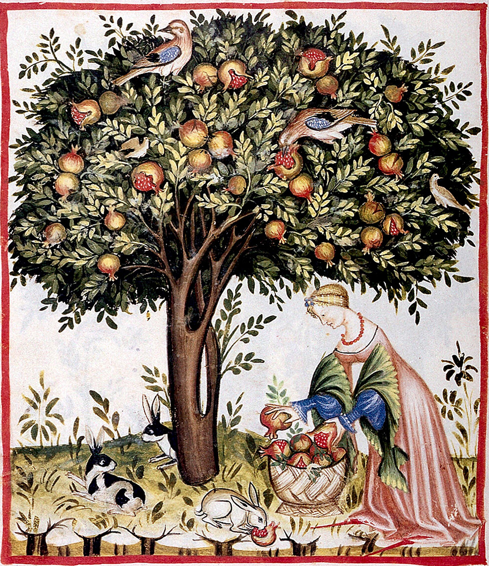 CDorado75's tweet photo. ¿Os gustan las granadas?  
Es una de las frutas más utilizadas en la Hª del Arte, con una simbología cambiante pero siempre en torno a la fecundidad, el amor, la abundancia y también la muerte y resurrección. 
Vamos a deleitarnos con alguna de sus mejores representaciones 🧵👇 https://t.co/O1rsCSAy3K