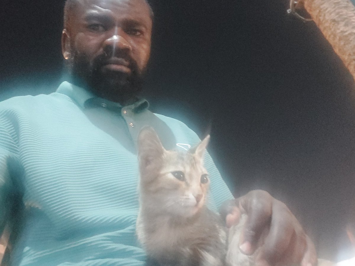 My favorite cat