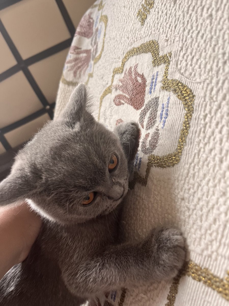 annem kadjn mamalayımı az veyiyo neymiş kilo alıyomşm çuk siniyliyim