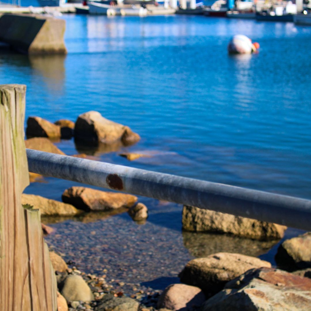 localcatch143 tweet picture