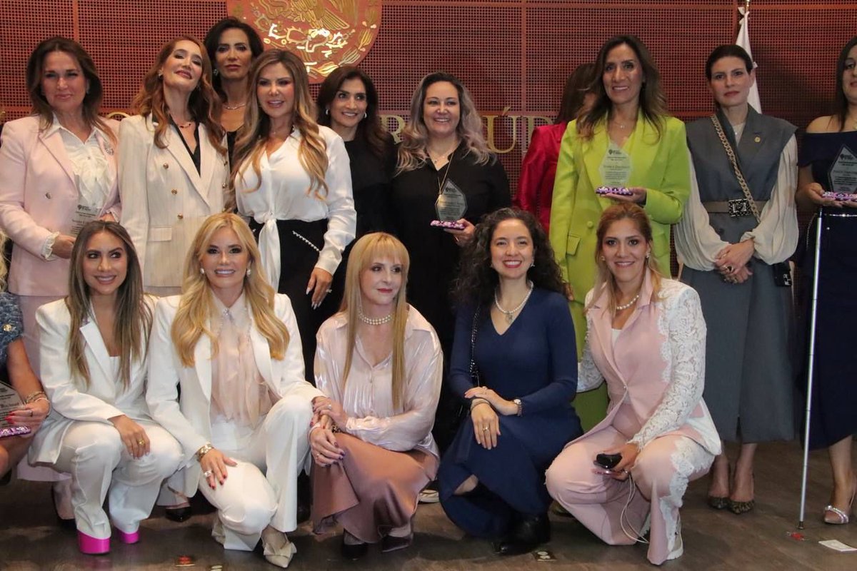 MaElenaEsparza's tweet photo. ¡Gracias, gracias, gracias, #DistritoMujeres, Norma Contreras, Cathia Carrillo, Alejandra Abad y Gaby Torre por reconocer y premiar el trabajo que hacemos en @OlaVioletaAC, así como de muchas #mujeres quienes compartimos hoy estos galardones en el @senadomexicano! https://t.co/B1vwoaWytt