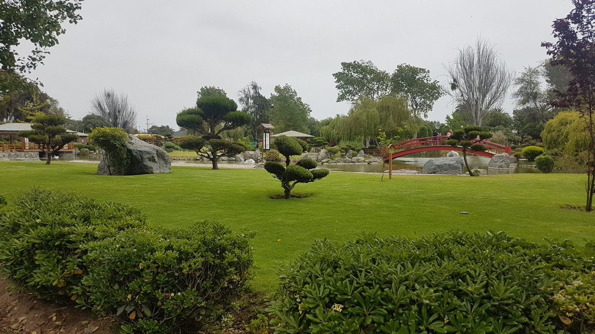 ChileanClaudio's tweet photo. #JardínJaponés https://t.co/DUBBGfwT4b