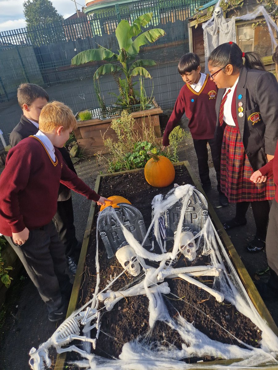 AnfieldReads's tweet photo. Tempests really enjoy going down to the spooky allotment to pick their pumpkin 👻🎃 https://t.co/3cSbXFM8rx
