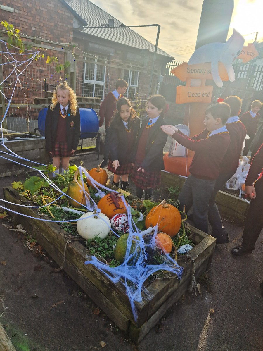 AnfieldReads's tweet photo. Tempests really enjoy going down to the spooky allotment to pick their pumpkin 👻🎃 https://t.co/3cSbXFM8rx