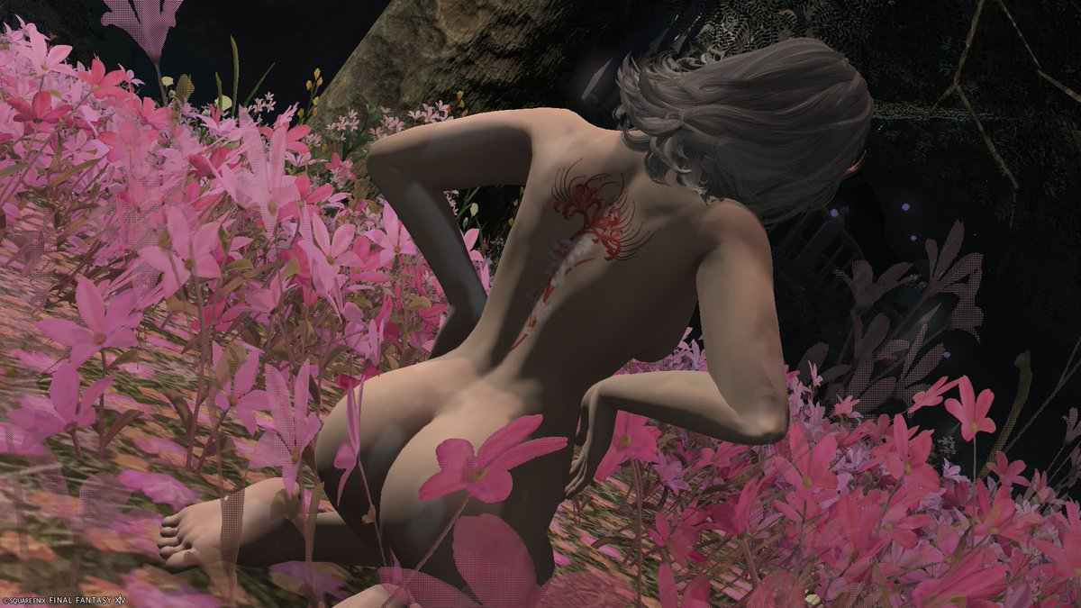 randomtallafell's tweet photo. My last 2 posts didn't do nearly as well as previous ones, so for today, I'll keep it simple and re-post some old ones:
#GPOSERS #ffxivnsfw #ffxivlewd #FFXIV https://t.co/8wwOrNhb8n