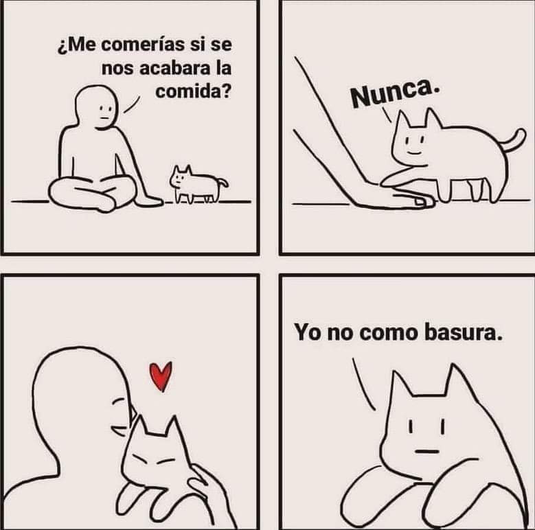 ymuchosmemes's tweet photo. https://t.co/8olSlj3vfa