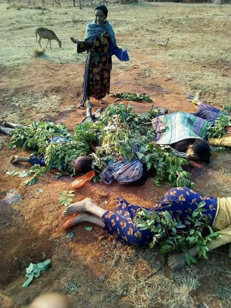 FANO_POWERR's tweet photo. "Stop Funding War Crimes: IMF, World Bank – No More Support for Abiy’s Drone Strikes!"
"Blood on Your Hands: IMF, World Bank, Stop Backing Abiy’s Drone Strikes on Amhara!"
#WarOnAmhara 
@amnesty @hrw @UNHumanRights @SecBlinken @StateDept @USEmbassyAddis
@usembassyaddis
@UN @HRW https://t.co/x3ampyqWFC