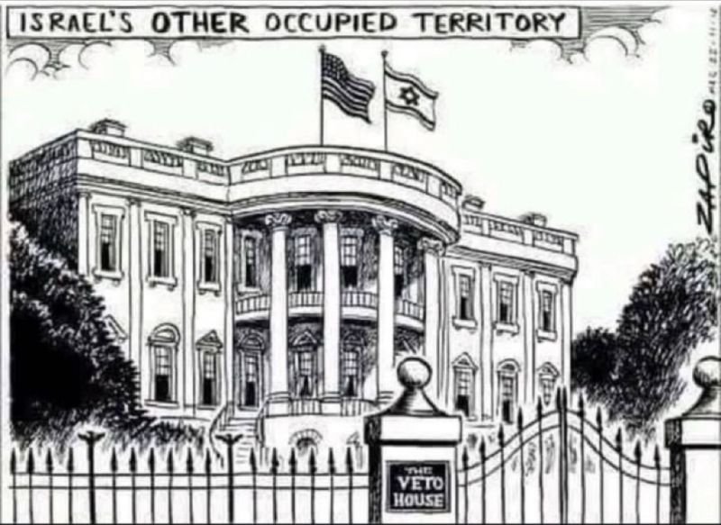 bkeithb's tweet image. #WeWillRememberInNovember 

#DropTheDuopoly #Vote3rdParty 
#NeverTrumpNeverHarris